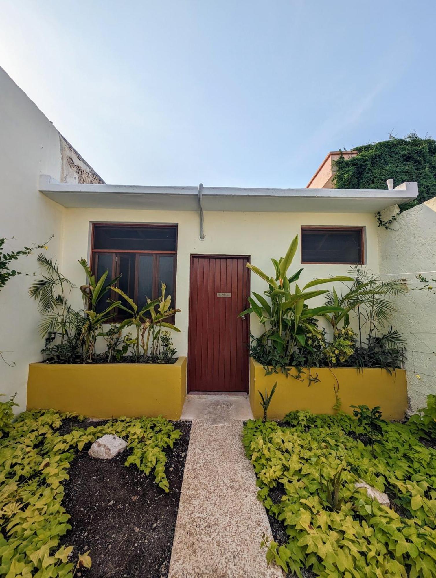 Casa Mi Maria Apartment Campeche Bagian luar foto
